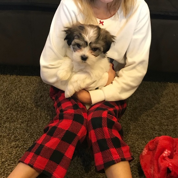 6 year poshiversary! Posh Ambassador II! - Picture 2 of 3